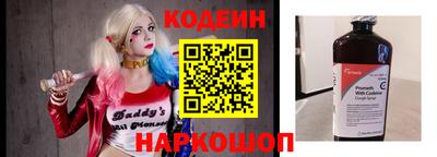 дмт Шелехов