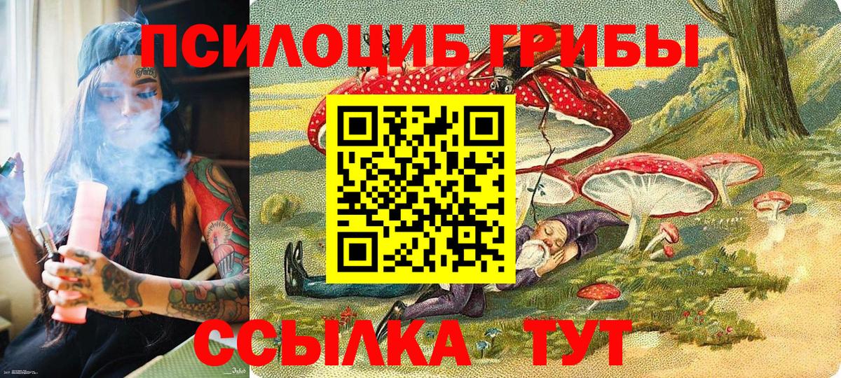 Майский  Псилоцибиновые грибы GOLDEN TEACHER  Галлюциногенные грибы GOLDEN TEACHER  Вход с VPN 