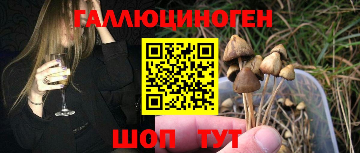 Псилоцибиновые грибы мицелий Майский
